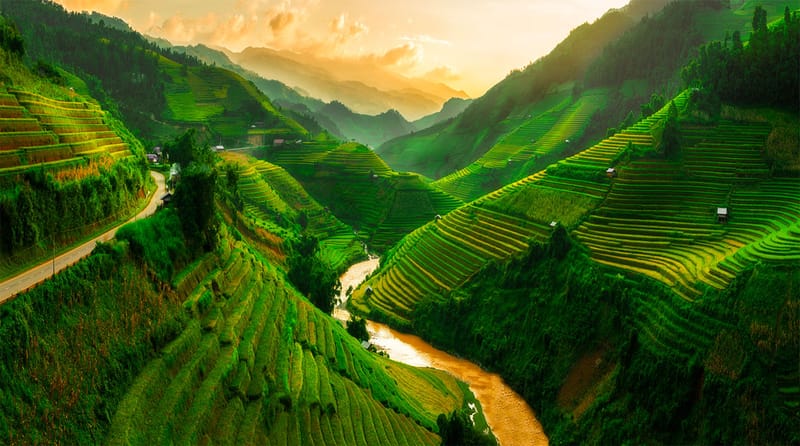 Người Việt là một sắc dân lạ lùng